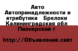 Авто Автопринадлежности и атрибутика - Брелоки. Калининградская обл.,Пионерский г.